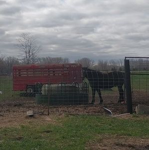 Meet your Posher, David